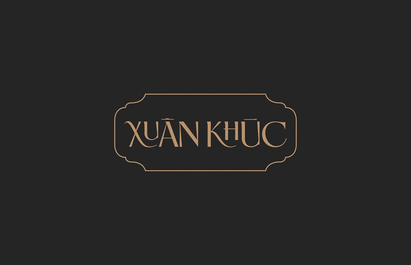 現(xiàn)代越南糖果品牌vi包裝設(shè)計(jì)和品牌策劃，食品VI設(shè)計(jì)，食品包裝設(shè)計(jì)，品牌策劃，深圳VI設(shè)計(jì)，左右格局