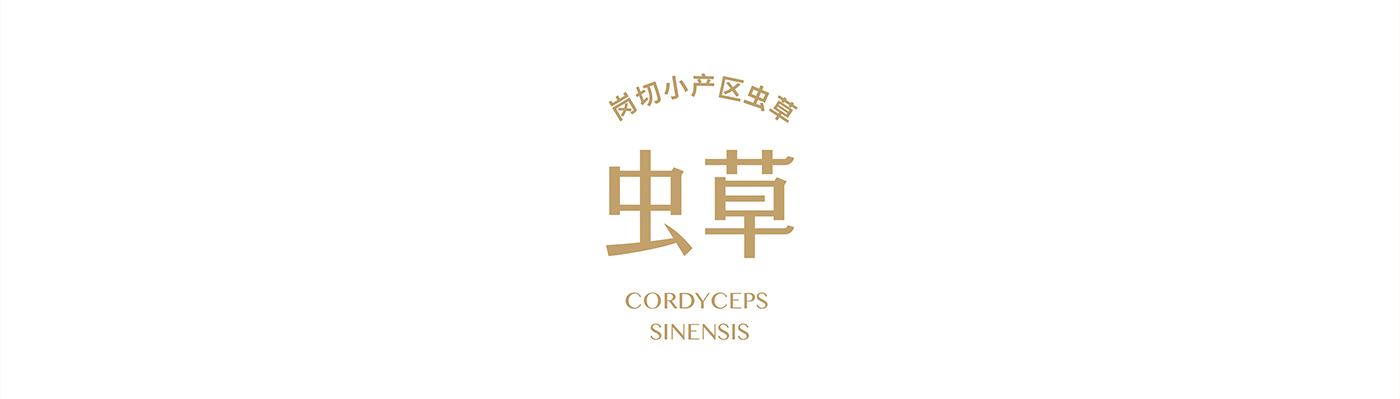 寶瓶堂高端滋補品包裝設計開發