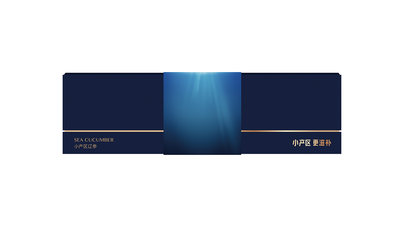 寶瓶堂高端滋補品包裝設計開發